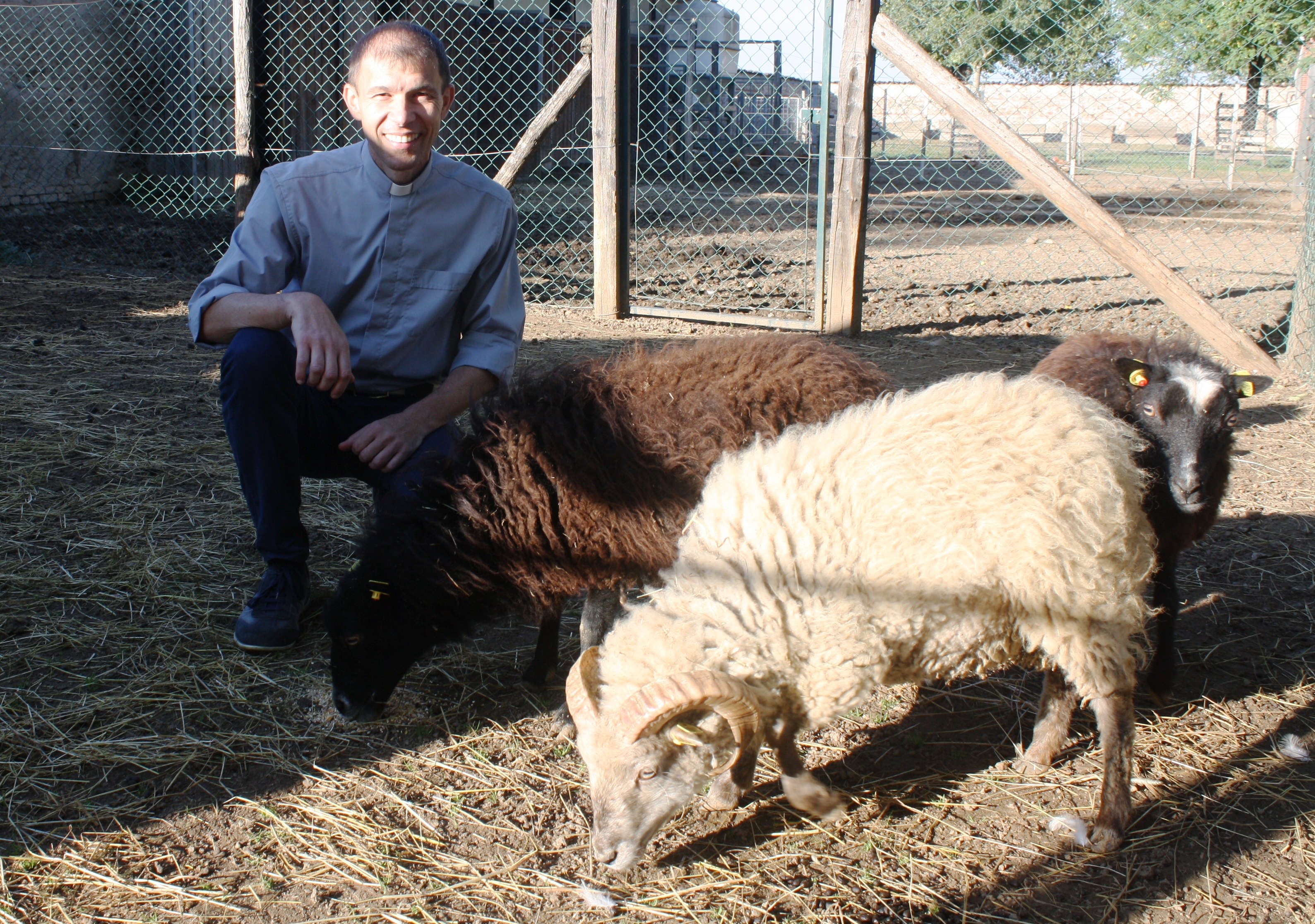 Assaggi Di Vangelo Blog Articoli Pecore Nel Vangelo